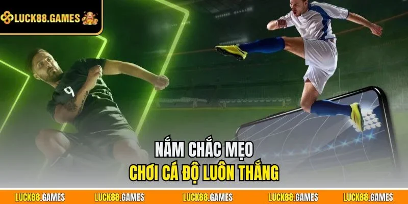 Nắm chắc mẹo chơi cá độ luôn thắng